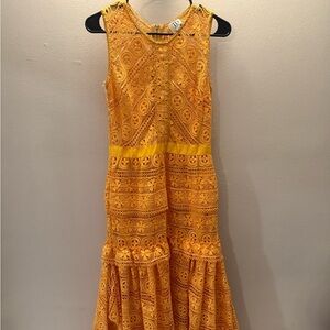 True Decadence Midi Lace Dress with Frill detail